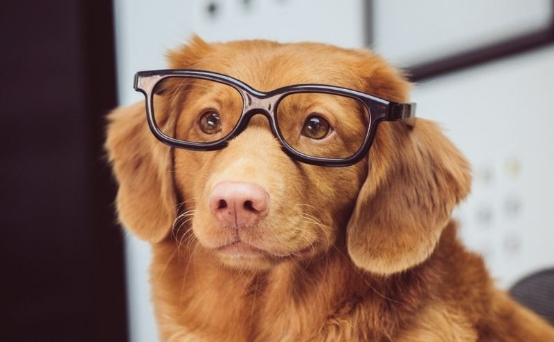 How to fetch and view emails with mail clients, code, or tests. Download attachments and view HTML previews using webhooks, REST, or SMTP.